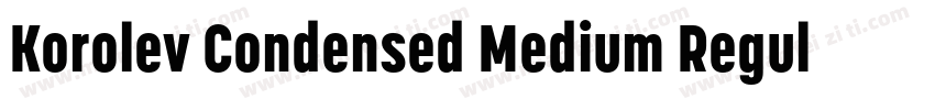 Korolev Condensed Medium Regular字体转换
